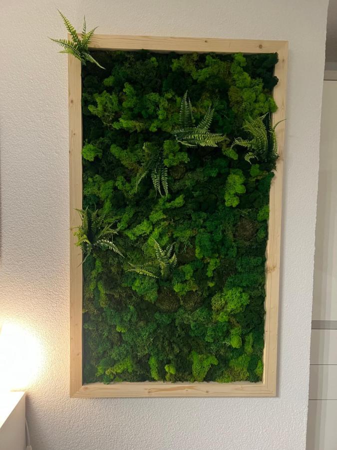 Appartement Bergwaerts 里肯巴赫 外观 照片