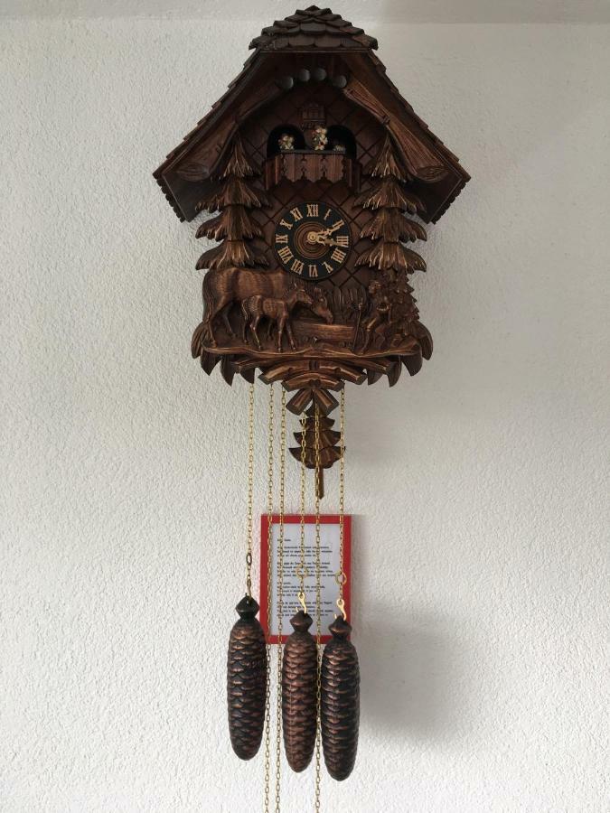 Appartement Bergwaerts 里肯巴赫 外观 照片